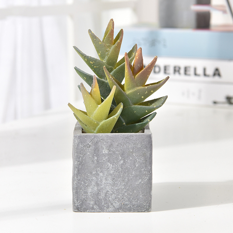 Faux-Succulent-Cactus-Faked-Air-Plants-with-Gray-Pots-for-Desktop (5).jpg 